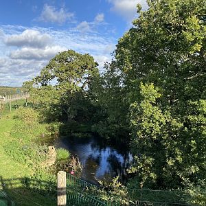 Jimmy's farm, macaque enclosure, right hand side