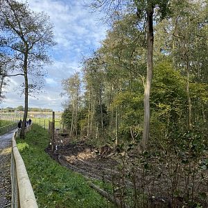 Jimmy's farm, polar bear wood, fencing under construction