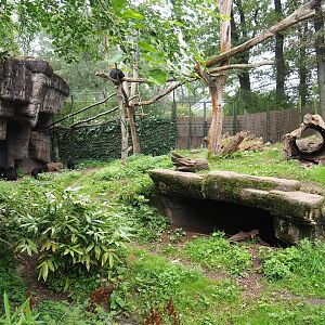Binturong and Sun bear exhibit, 2023-10-07