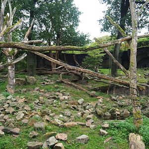 Binturong and Sun bear exhibit, 2023-10-07