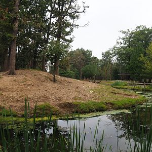 Rimba Primate and ungulate mixed exhibit, 2023-10-07