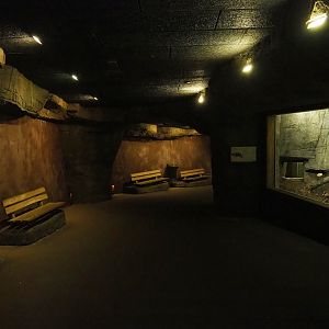 Rimba - Cave with reptile exhibits, 2023-10-07