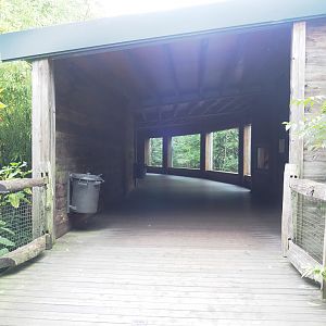 Southern yellow-cheeked gibbon viewing area, 2023-10-07