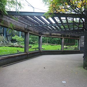 Sumatran tiger viewing area, 2023-10-07