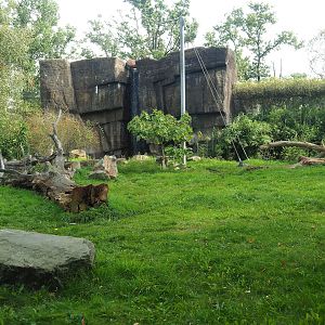 Sumatran tiger exhibit, 2023-10-07