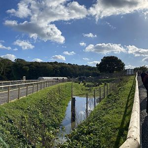 Jimmy's farm, red breasted geese enclosure