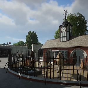 London Zoo 1904: The Camel House and Clocktower