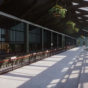 London Zoo 1904: Lion House Interior
