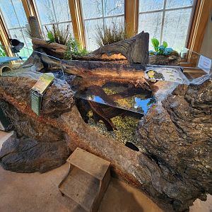 Darien Nature Center (CT) - Connecticut stream exhibit