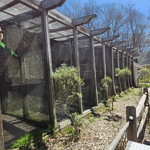 New Canaan Nature Center - Raptor aviary row