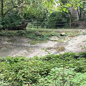 Zoo Center - Outdoor White Rhino Exhibit