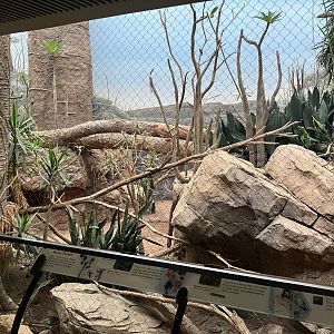 Madagascar - Spiny Forest Exhibit