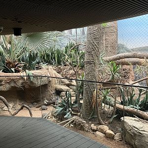 Madagascar - Spiny Forest Exhibit