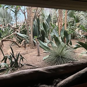 Madagascar - Spiny Forest Exhibit