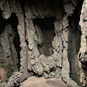 Madagascar - Madagascar Hissing Cockroach Exhibit