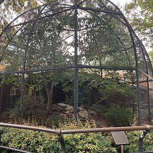 Astor Court - Black-Faced Ibis Exhibit
