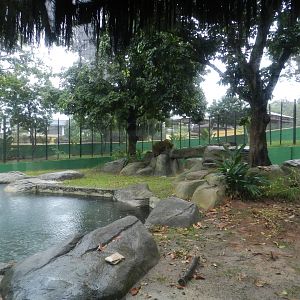 Brown bear exhibit - Bioparque do Rio