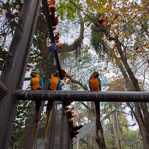 Tropical immersion - Bioparque do Rio
