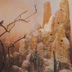 Desert Exhibit 1978