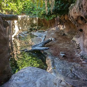 Asian small clawed otter habitat