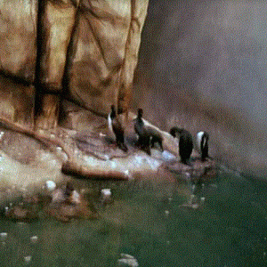 Sea Cliffs Exhibit 1976