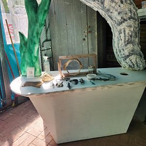 Glen Echo Park Aquarium - Exhibit models
