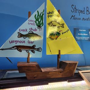 Glen Echo Park Aquarium - Signage example