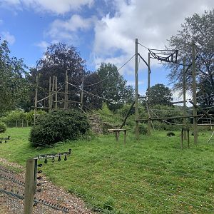 Lion-tailed macaque enclosure
