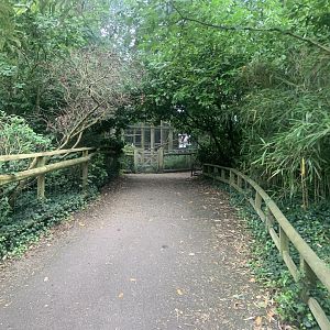 Path towards white-naped mangabey enclosure