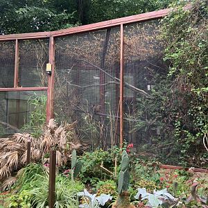 Grey-headed brown lemur enclosure