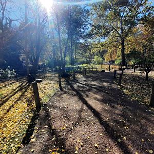 Autumn on the Outback