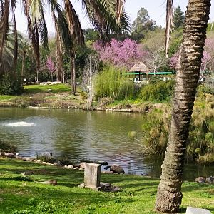 March 16 2021 - Water Birds Lake