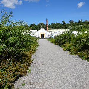Fjärilshuset - Path leading toward entrance