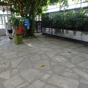 Fjärilshuset - Entrance hall