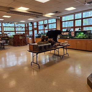 Marshy Point Nature Center (MD) - Aquarium/herp room