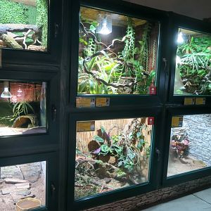 Entry room - left side