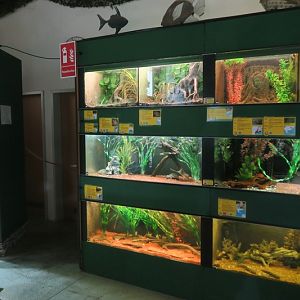 Entry Room - backside