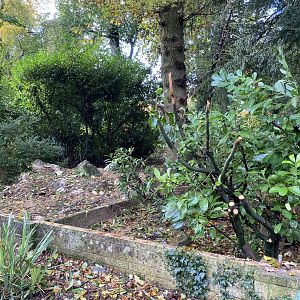 Pallas’s cat enclosure demolition, CWP