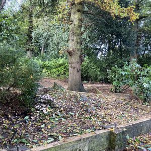 Pallas’s cat enclosure and rear old sheds demolished