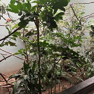 Aquatic Bird House - Waterfront High Rise Exhibit