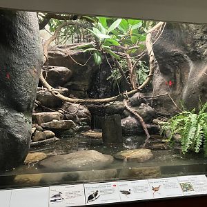 Aquatic Bird House - Canyon Exhibit