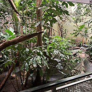 Aquatic Bird House - African Spoonbill Exhibit