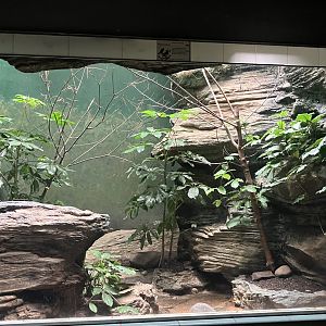 Aquatic Bird House - Pygmy Falcon Exhibit