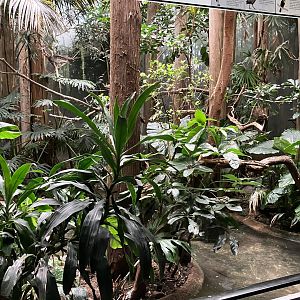 Aquatic Bird House - Painted Stork Exhibit Exhibit