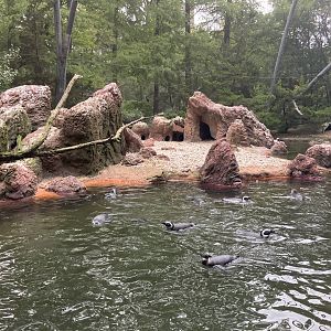 Seabird Aviary