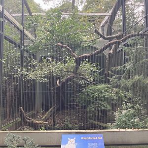 Birds of Prey Newfoundland Great Horned Owl Exhibit