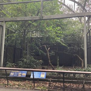 Birds of Prey - Andean Condor Exhibit