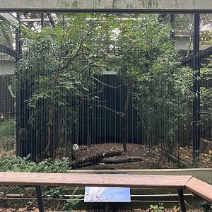 Birds of Prey - Snowy Owl Exhibit
