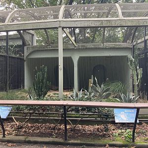 Birds of Prey - Western Burrowing Owl Exhibit