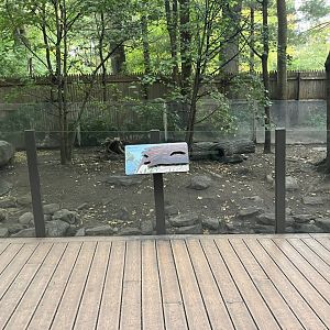 Children’s Zoo - Asian Small-Clawed Otter Exhibit